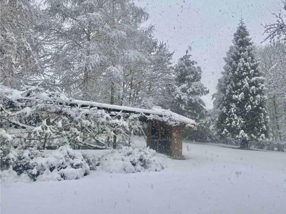 Villa Giulia - Argentera Peveragno Exteriör bild