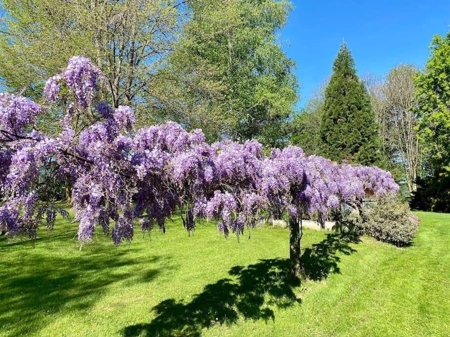 Villa Giulia - Argentera Peveragno Exteriör bild